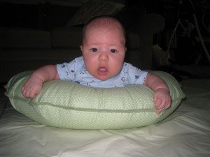 img_1171-obaki-upload But, I prefer a pillow