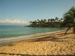 Maui video