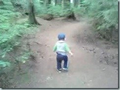 A little walk in the woods