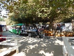 P1060557