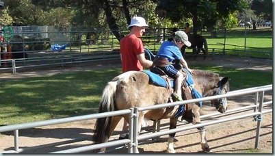 Giddyup Horsey!