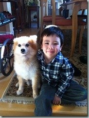 Ryan and dogs