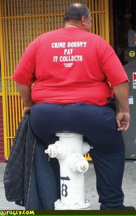 Is Ryan fat?